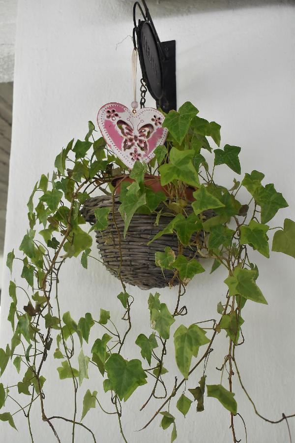 Lemonia Hotel Paralia Katerinis Luaran gambar